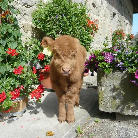 Farm stay Dorferhof Weistrach