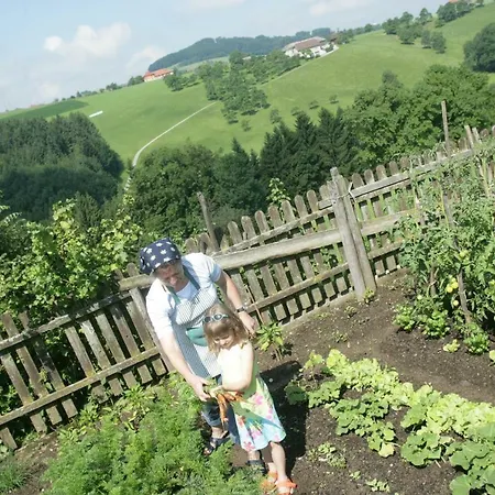 Dorferhof Farm stay Weistrach