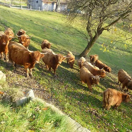 مزرعة للإقامة Dorferhof Weistrach