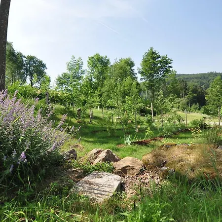 Dorferhof Farm stay *